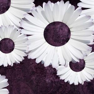 Meet your Posher, Sarina